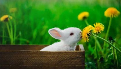 米神这球漂亮！米特里策左侧任意球直接破门，技惊四座梅开二度